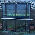 Battened down